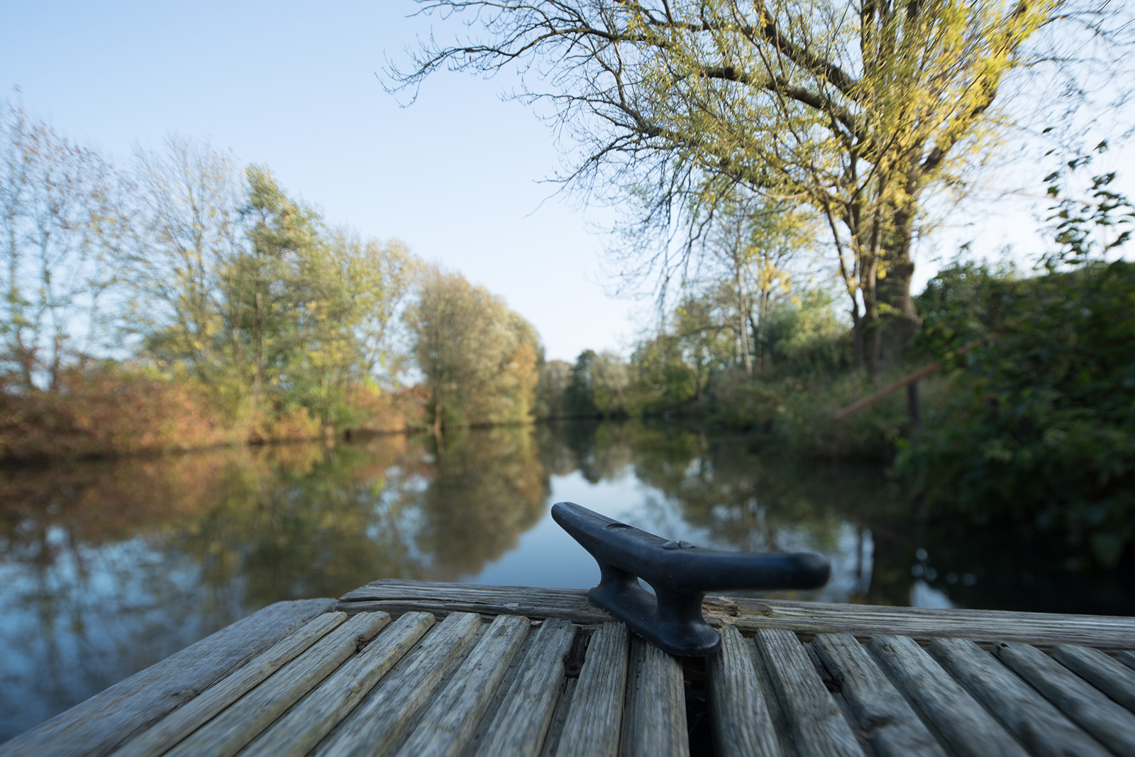 Ein Holzsteg an der Gooseelbe in der Detailaufnahme